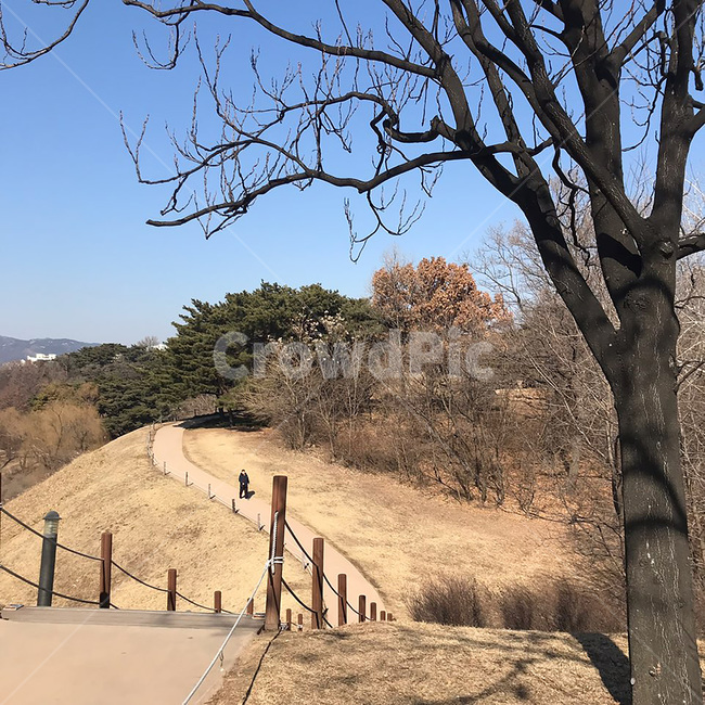 공원,나홀로나무공원,올림픽공원,공원풍경,산책,산책길,운동,산길,산,산책코스