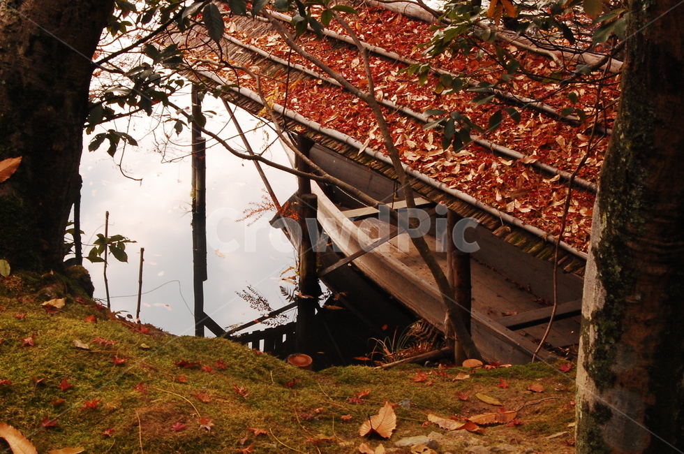 배,호수,가을풍경,가을,나무,낙엽,나룻배,가을,계절,fall,autumn,season