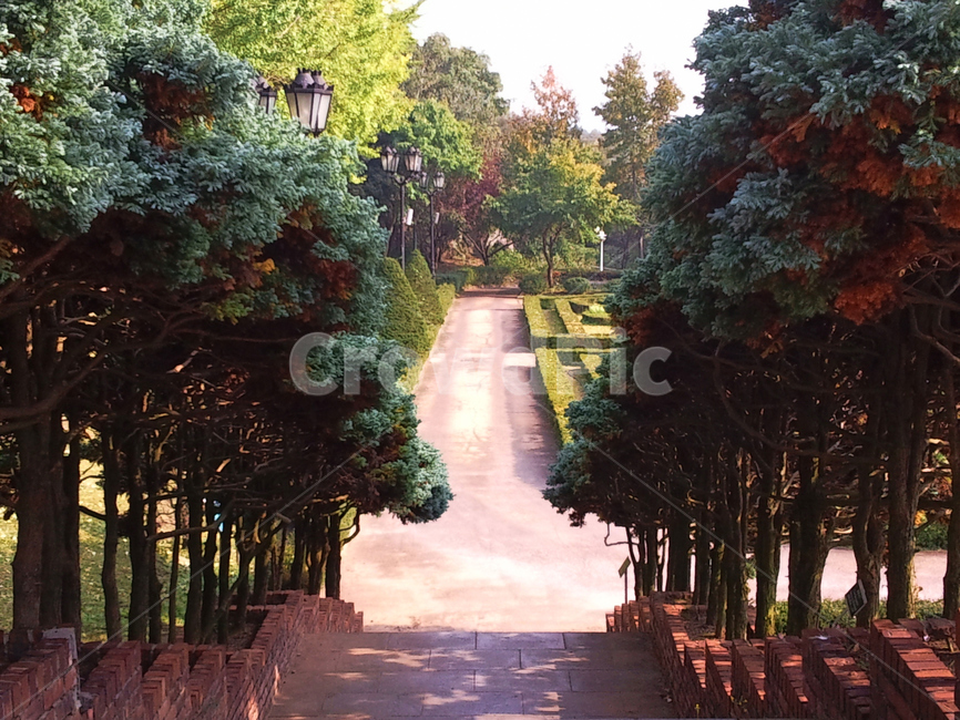 garden,정원,대칭,나무,outdoors