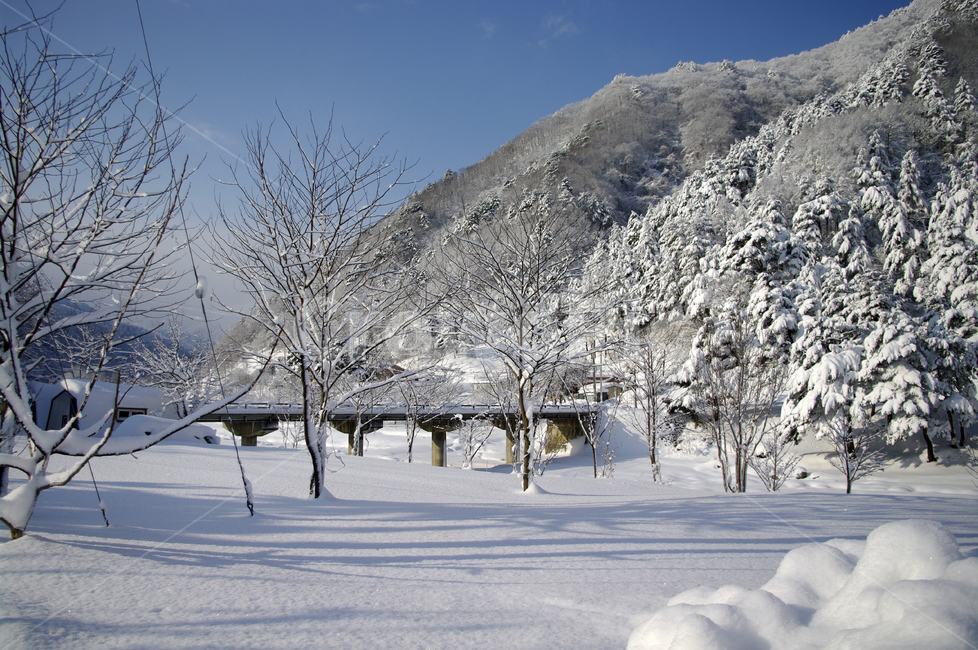겨울,눈,설경,풍경,나무,겨울산,겨울,계절,winter,season