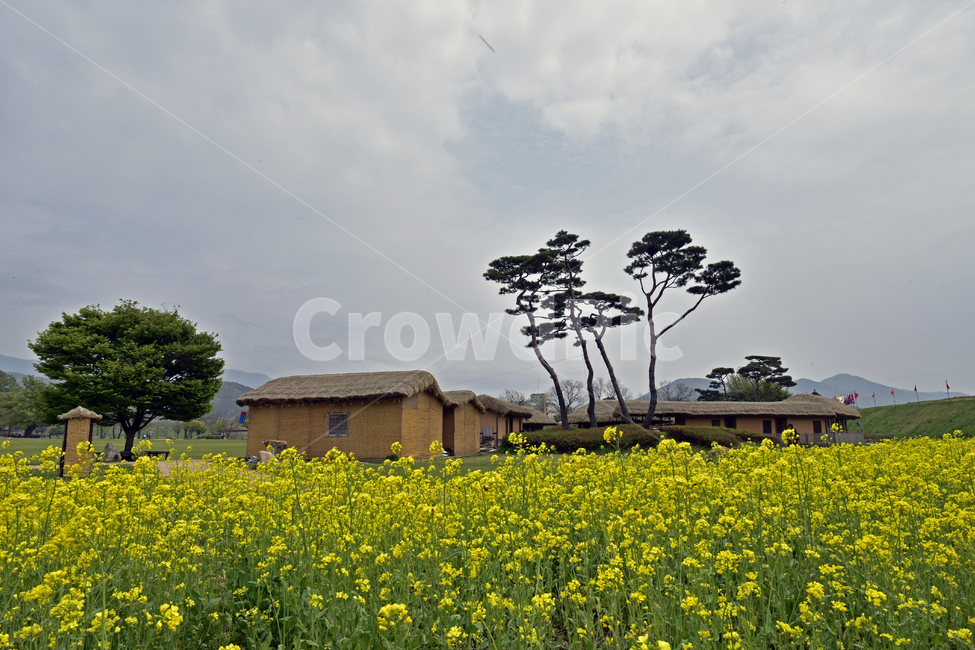 초가집,grassroofedhouse,초가지붕,전통한옥,시골집,초가,시골풍경,시골,마을,풍경,landscape,country,rural,town,한국전통,한국문화,korean traditional,korean culture