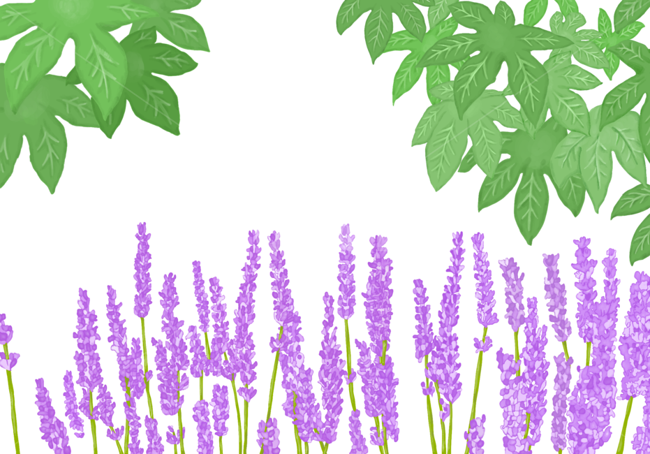 plant,식물,꽃,일러스트,그림,보라색,누끼,remove background