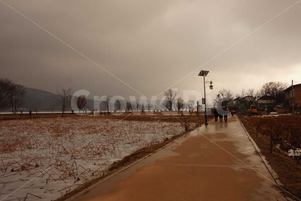 갈대,겨울,가을,경치,경관,양평,두물머리,사진,강,길,자연,풍경,nature,landscape,겨울,계절,winter,season