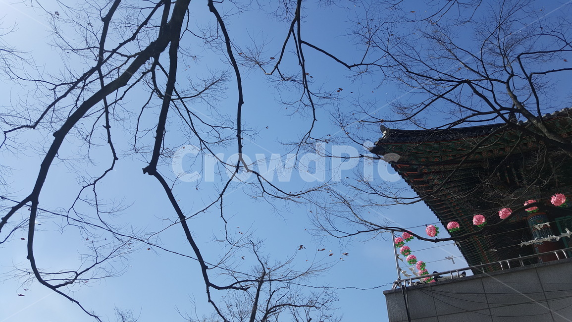 구름,하늘,나무,실루엣,느티나무,봄하늘,나무가지,자연,처마