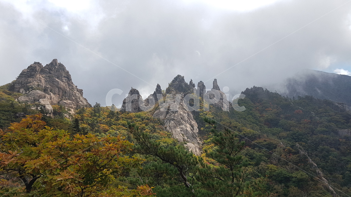 설악산,공룡능선,1275봉,가을,단풍,운무,자연,풍경,nature,landscape,한국자연풍경,한국자연경관,korea nature landscape,outdoors,옥외