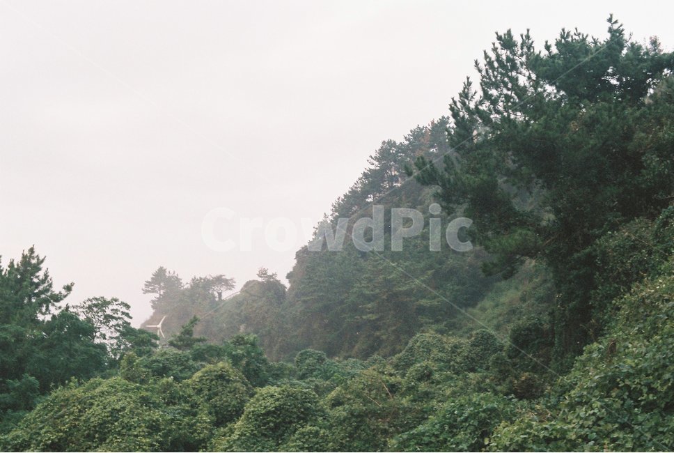 바다,나무,파도,하늘,제주도,자연,풍경,nature,landscape,vegetation,초목,plant,식물,tree,outdoors,옥외