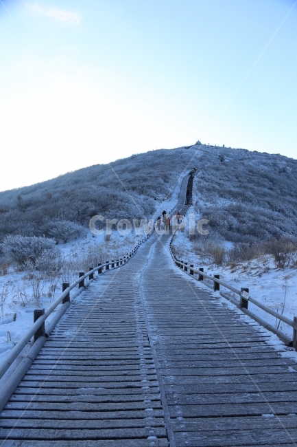 지리산,노고단,노고단가는길,등산,새해,눈,상고대,국립공원,겨울,계절,winter,season,자연,풍경,nature,landscape,한국자연풍경,한국자연경관,korea nature landscape,banister,난간,handrail