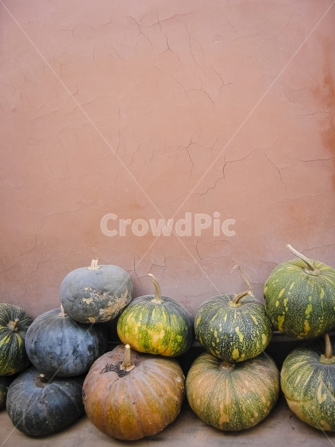 호박,농가,벽,농산물,pumpkin,농촌,음식,식재료,요리,food,cook,meal,dishes,food reserves,채소,야채,vegetables