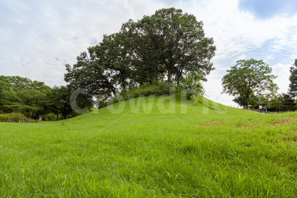 Olympic Park,sky,Hill,tree,walkway,clouds,grassland,summer,cloud,seoul,trail,hill,Seoul,Olympicpark,Korea Park,meadow,KoreaPark