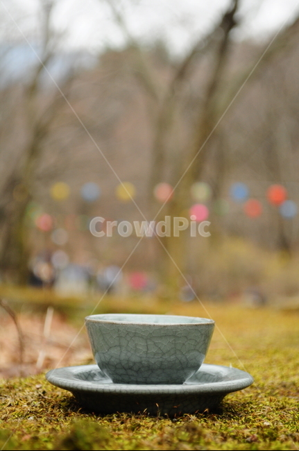 찻잔,차,자연,자기세트,찻잔세트,숲,나무,숲속,산속,한국전통,한국문화,korean traditional,korean culture,음료수,drink,beverage