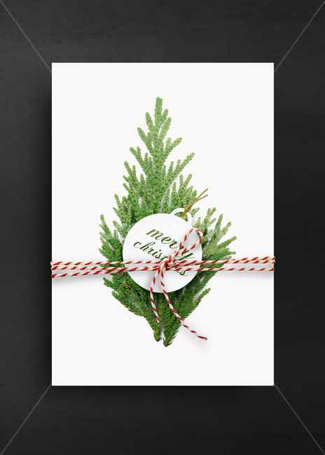크리스마스,겨울,배경,크리스마스배경,포스터,백그라운드,프레임,배경이미지,그래픽,크리스마스트리,나뭇잎,리본,라벨,겨울,계절,winter,season,축제,행사,festival,carnival,event,기념일,축하,anniversary,congratulation,celebrate,celebration,메리크리스마스,성탄절,merry christmas,그래픽,일러스트레이션,graphic,illustration