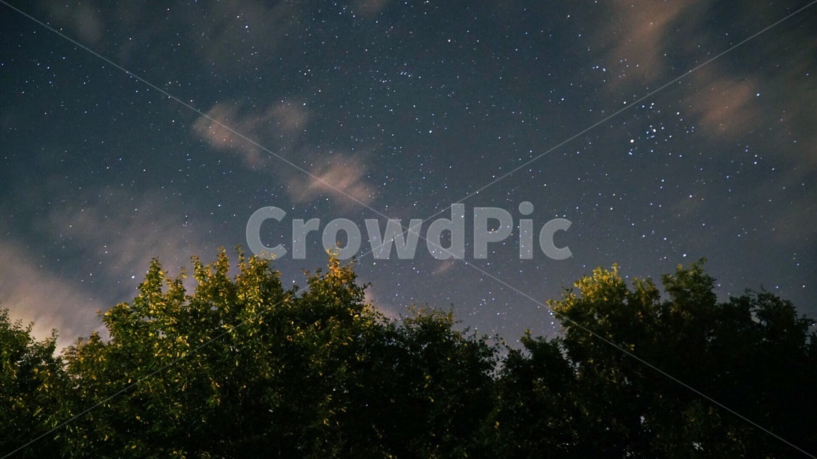 하늘,sky,감성사진,별,우주,star,universe,sensible,나무,tree,밤하늘,자연,풍경,nature,landscape,야경,밤,nightscape,night,outdoors,옥외