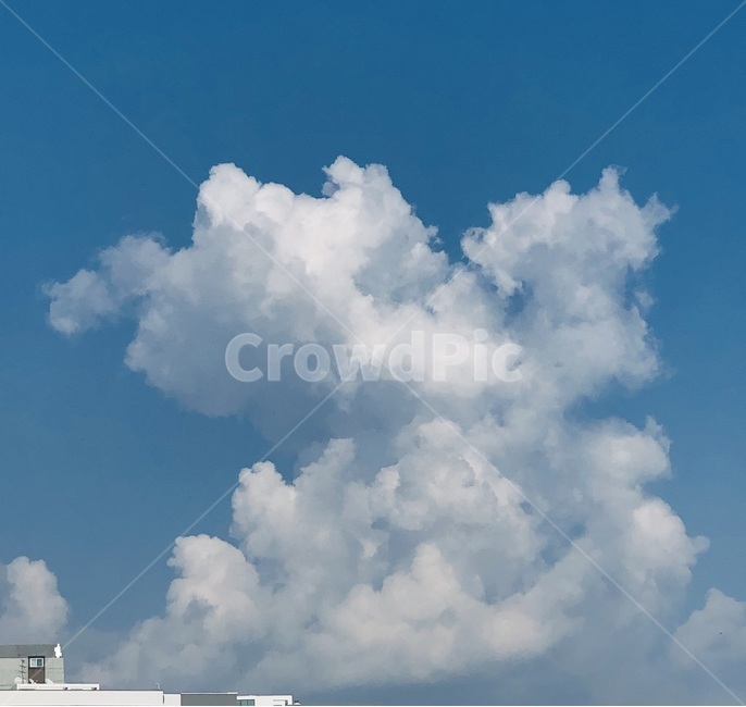 하늘,구름,sky,blue,cloud,pastel,배경화면,감성사진,feeling,sensible,garden,nature,beautiful,season