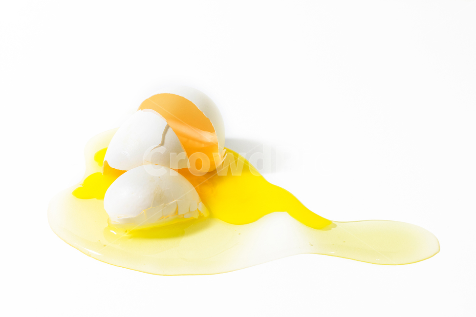 음식,계란,달걀,egg,food
