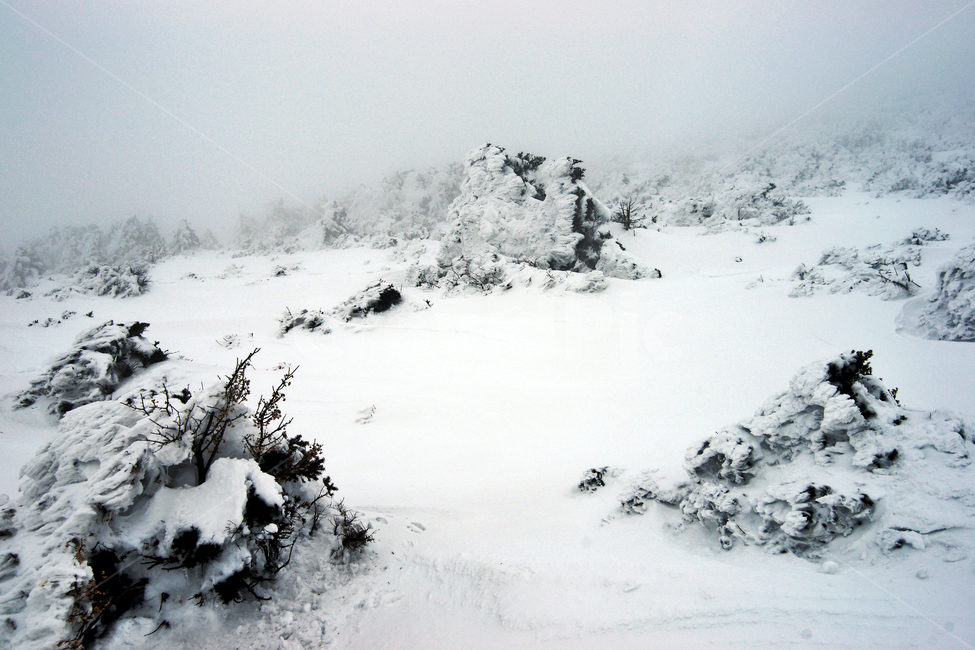 한라산,제주도,영실코스,설경,설화,겨울,안개,눈,겨울,계절,winter,season