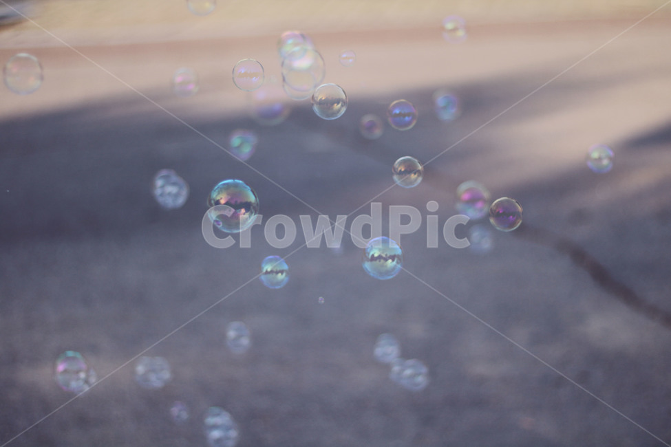 비눗방울,방울,감성,길거리,따뜻한,분위기있는,장난감,소풍,봄,배경,bubbles,street,warm,mood,toy,picnic,spring,감성,sensible,feeling