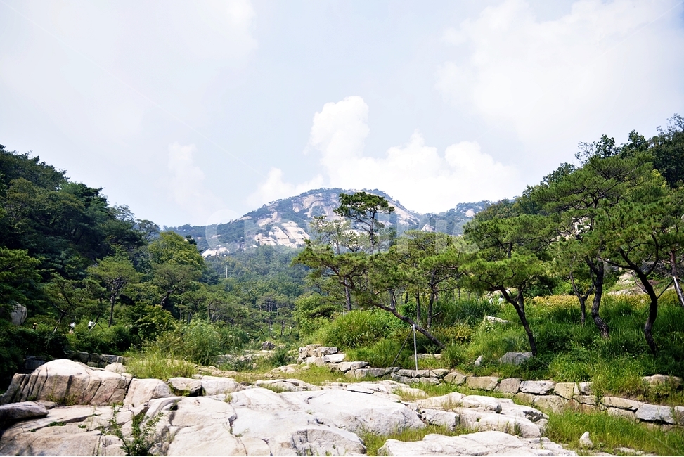 자연,산,풍경,경치,서울,북촌,서촌,북악산,landscape,mountain,산길,산책,산행,자연,풍경,nature,landscape,한국자연풍경,한국자연경관,korea nature landscape,outdoors,옥외,plant,식물,vegetation,초목,water,물,wilderness,황야