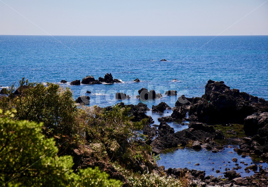 바다,풍경,제주,하늘,제주도