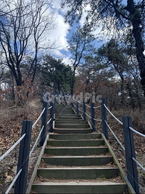 bridge,boardwalk,다리,building,건물,계단오르기,banister,난간,handrail,railing,계단,하늘,구름,계단오르는,등산,산계단,자연,나무,날씨,산,산책로