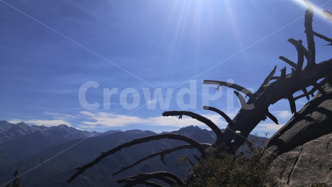 middle price stock,blue sky,Altitude 2063 meters,USA,Sequoia National Park,SequoiaNationalPark,clear air,centralCalifornia,blue mountain,alpine,sight,california,travel,MoroRock