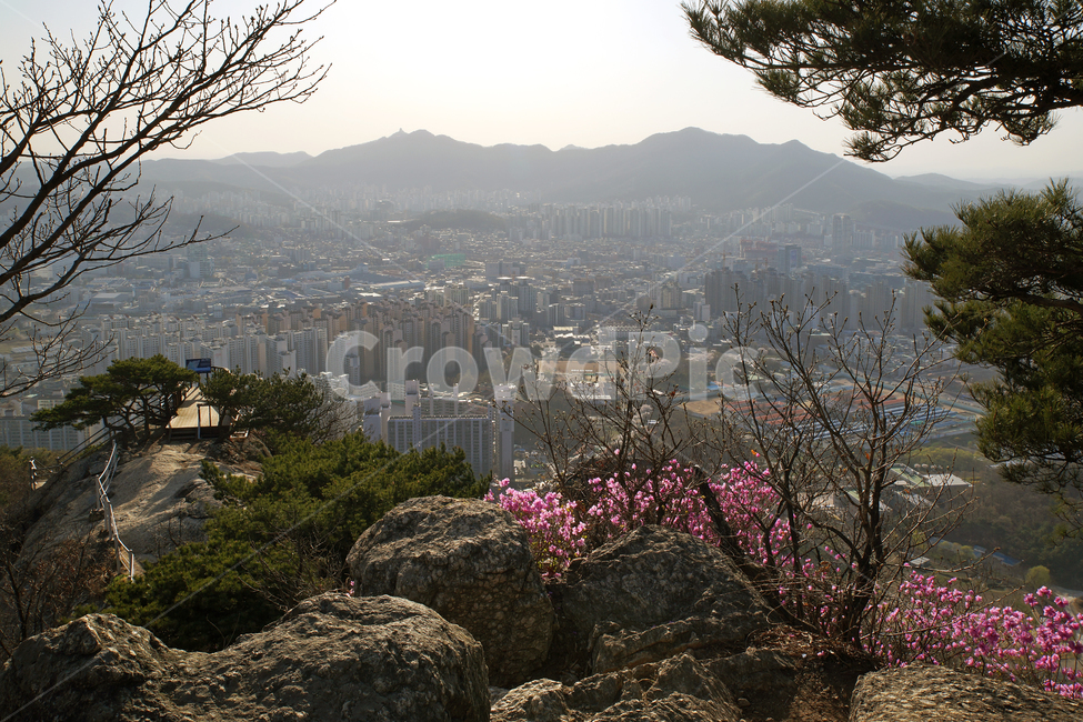 모락산,경기도,의왕시,안양시,도심풍경,도시,진달래,바위,자연