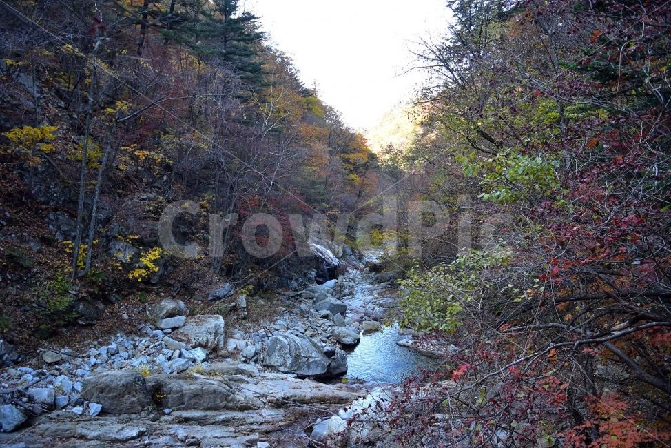 설악산,가을,풍경,단풍,탐방,국립공원,파란하늘,가을색,오색,울긋불긋,알록달록,그림같은,칼라풀,뷰티플,아름다운,힐링,감성,자연,정취,산세,명산,100대명산,nature,산,등산,트레킹,비경,경치,사진,색채,가을의정취,가을,계절,fall,autumn,season,자연,풍경,nature,landscape,한국자연풍경,한국자연경관,korea nature landscape,water,물,stream,흐름,creek,작은 만,outdoors,옥외