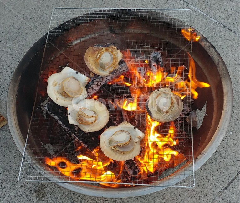 조개,조개구이,가리비,장작구이,장작,캠핑,fire,cell,음식,food,불
