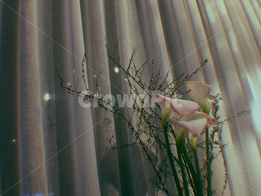분위기,커튼,꽃,필름카메라,카페,꽃,flower,인테리어,실내디자인,interior design