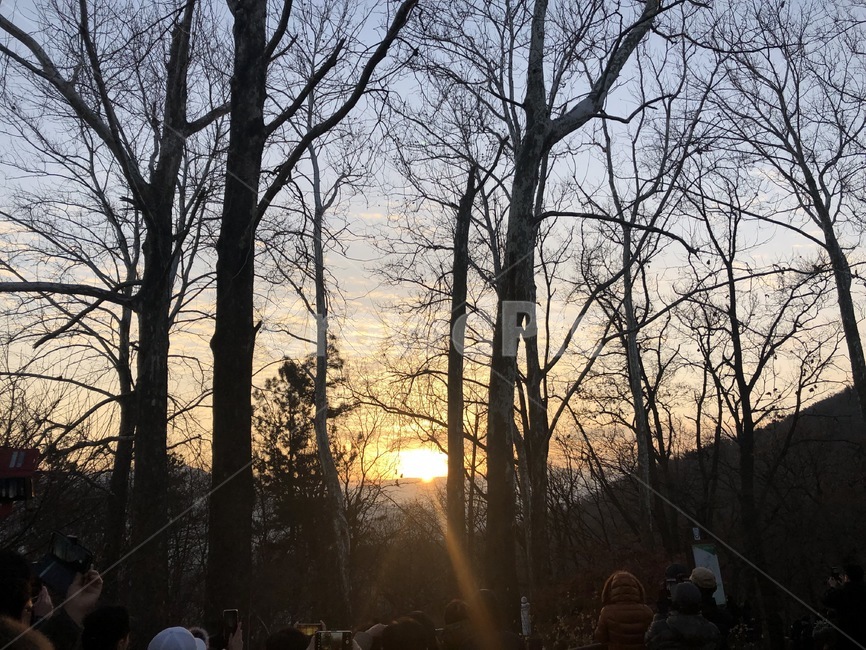 새해,일출,1월1일,산,태양,자연,풍경,nature,landscape,light,빛,flare,플레어,outdoors,옥외