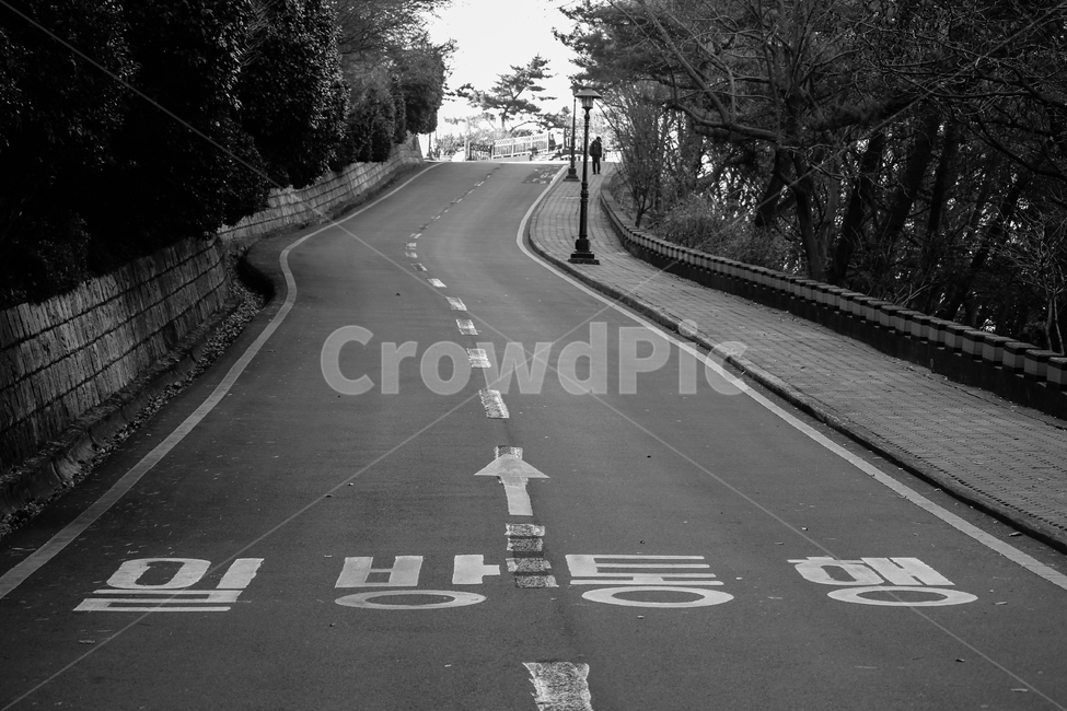길,언덕,일방통행,글,도로,흑백,모노톤,monochrome,black and white