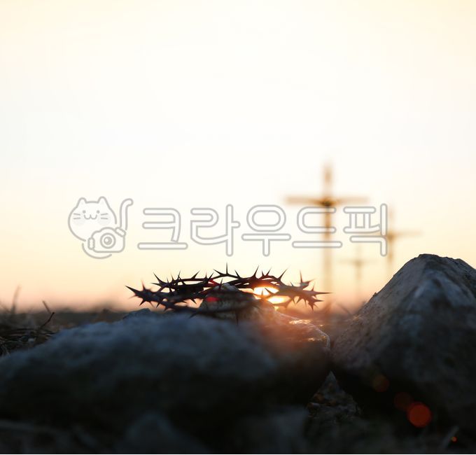 가시면류관,십자가,예수그리스도,고난주간,부활절,사순절,예수님,피,고난,큰시련,태양,빛,노을,일출,고통,죽음,부활,희생,믿음,종교,교회,거룩한,성당,기독교,천주교,배경,밝은,어두운,예배,기도,은혜,성령,보혈,성경,실루엣,상징,수난주간,구원,골고다언덕,갈보리,가시관,crucifixion,crucify,jesuschrist,구세주,대속자,메시아