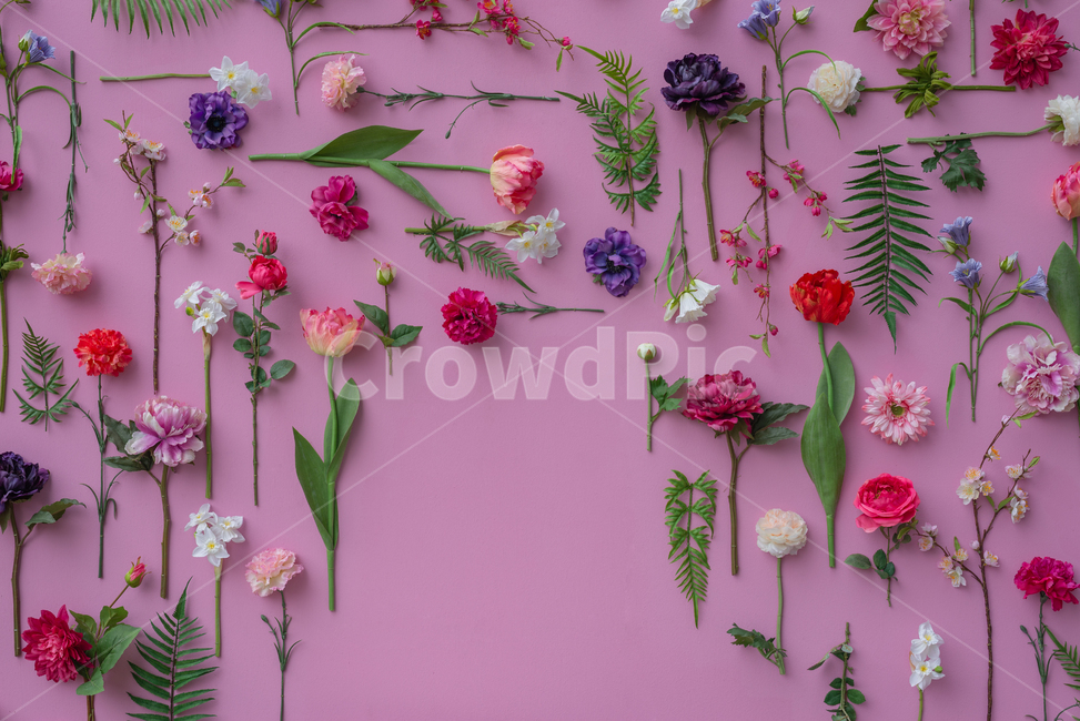 floraldesign,background,무늬,플로랄디자인,art,texture,pattern,design,designsource,flower,봄,여름,spring,summer,graphics,자수