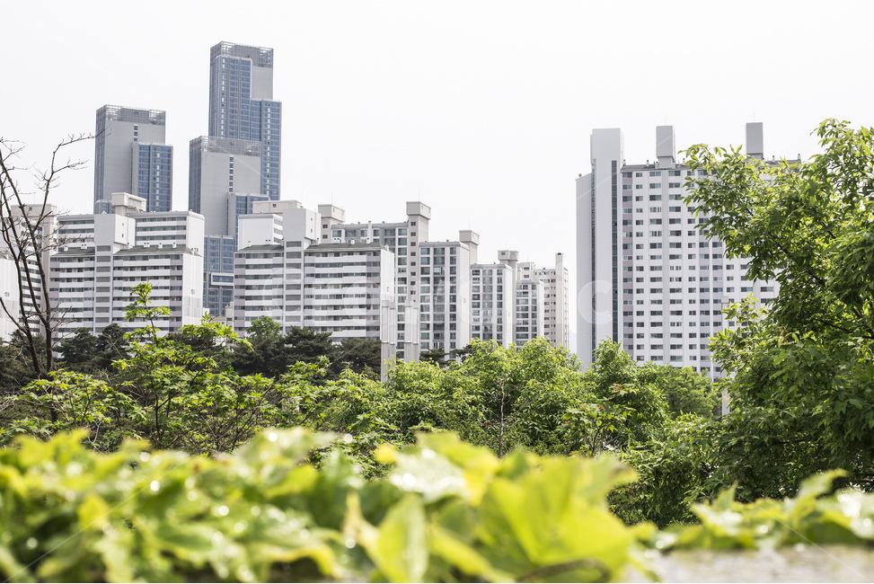 아파트,단지,아파트단지,도시적인,블록,발코니,건물,도시,citylife,도시풍경,깨끗한,복잡,적합,현대,현대적인,주택,주거용,주택개발,주택프로젝트,대형,고급아파트,현대건축,건축물,건축,입주,로망,도시,풍경,city,landscape,한국도시풍경,한국도시경관,korea cityscape,식물,자연,plants,nature,urban,어반