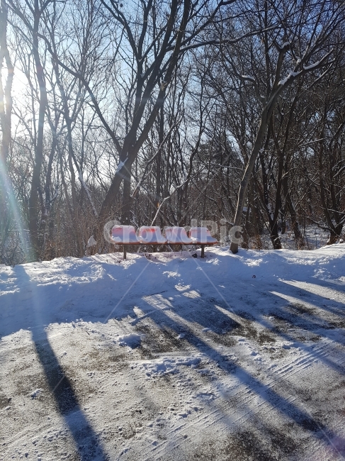 의자,겨울,눈,나무,햇빛,겨울,계절,winter,season,자연,풍경,nature,landscape