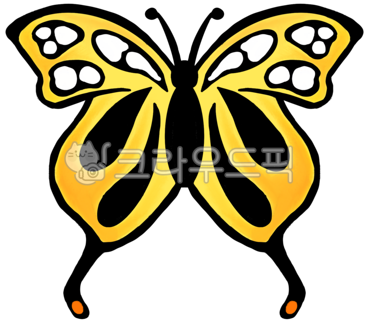 나비,곤충,나비축제,곤충박물관,봄