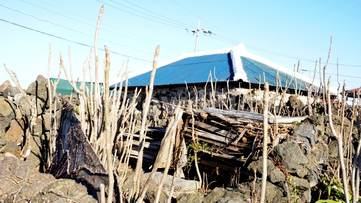돌담집,제주도,지붕,시골,풍경,그리움,외로움,쓸쓸함,가을,시골,마을,풍경,landscape,country,rural,town