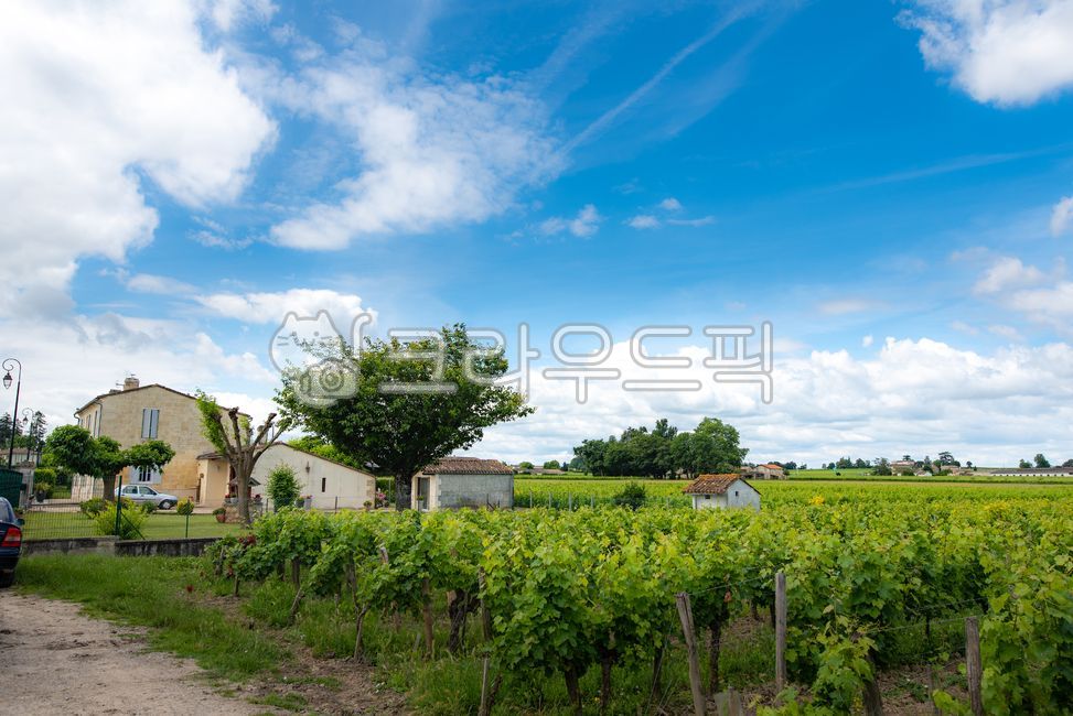 bordeaux,worldheritage,Bordeaux,villige,vinyard,saintemilion,Saint Emilion,landscope,wine village,vineyard,south of france,Town,sight,france,Emotion,europe,winevillage,bordeauxwine,nature,world cultural heritage,saintmilion,Bordeaux wine,feeling,outdoors,