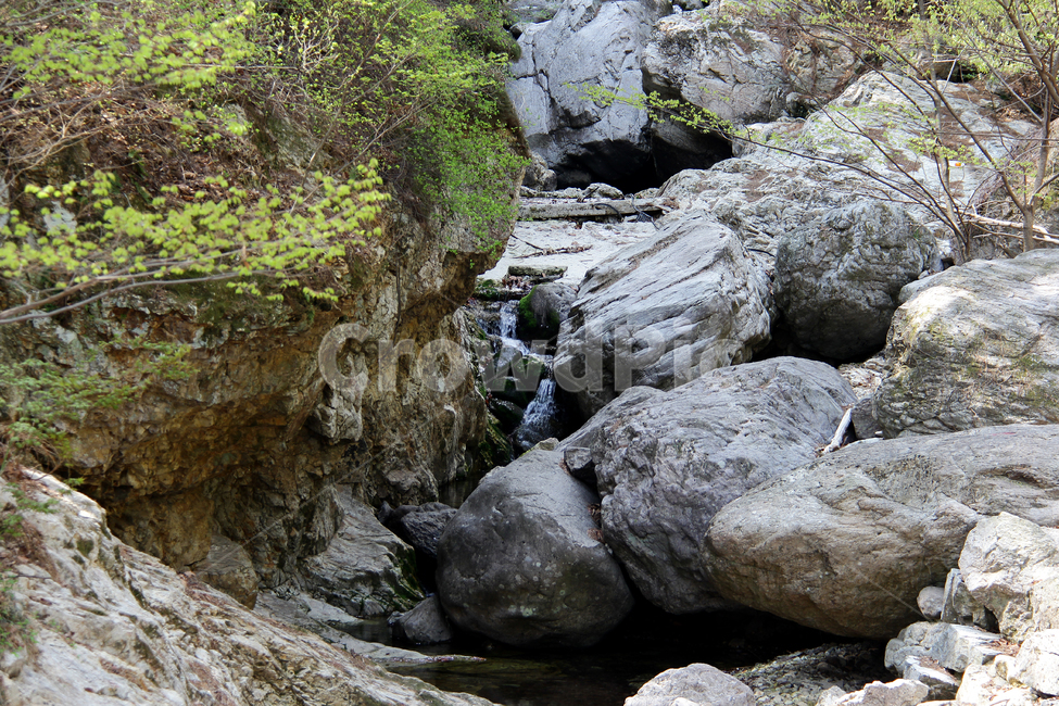 계곡,자연,물,청정함,숲속,자연,풍경,nature,landscape,rock,록,outdoors,옥외