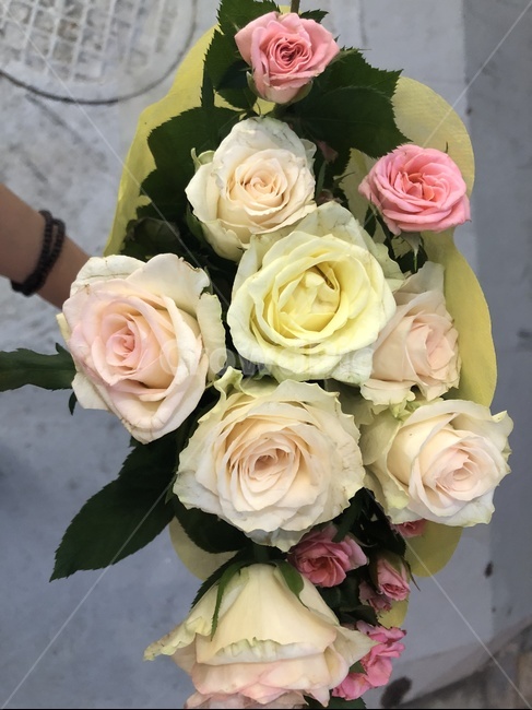 plant,식물,꽃,blossom,flower,꽃부케,flowerbouquet,꽃꽂이,rose,장미,flowerarrangement