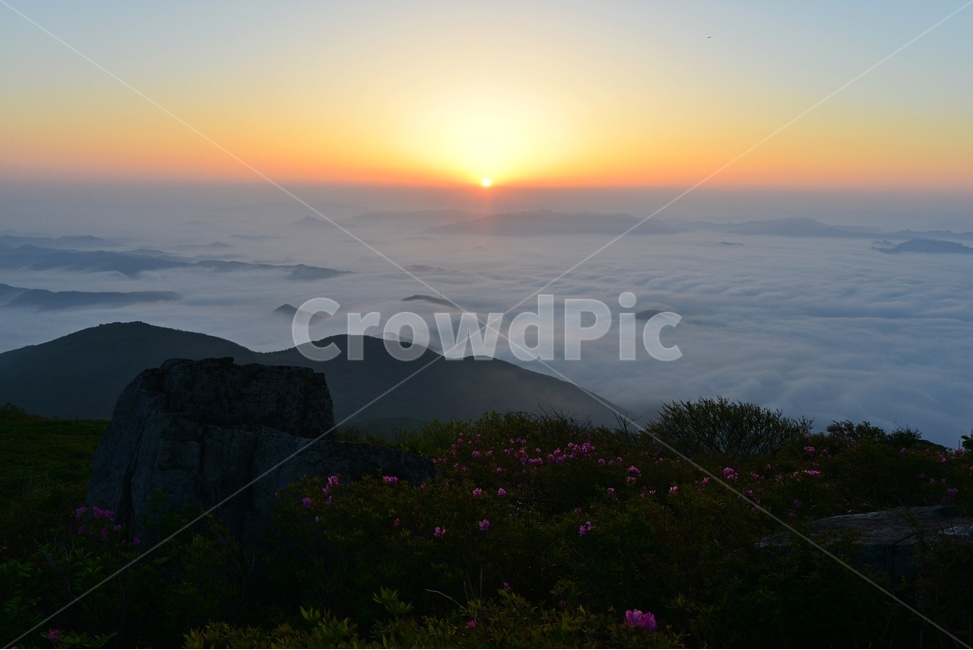 무등산,무등산봄,무등산철쭉,무등산일출,무등산운해,운해,철쭉,nature,outdoors,옥외,자연,풍경,nature,landscape,새해,new year