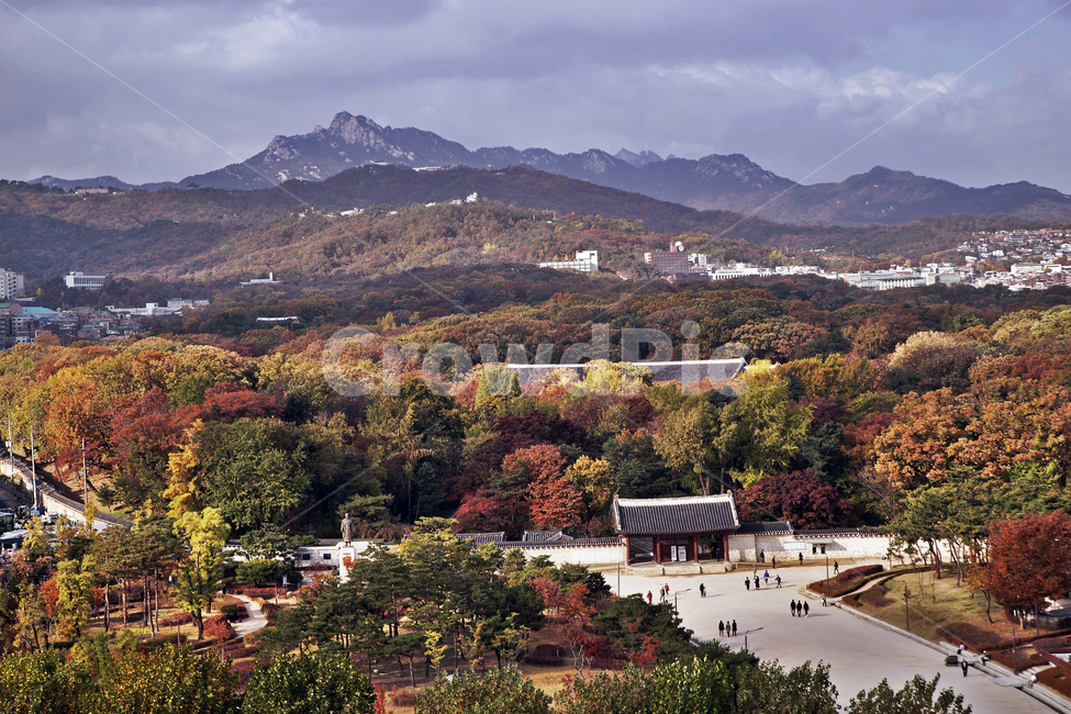 세운상가,종로,아케이드,종묘,서울도심풍경,가을,단풍,계절,종로3가,가을,계절,fall,autumn,season,한국도시풍경,한국도시경관,korea cityscape