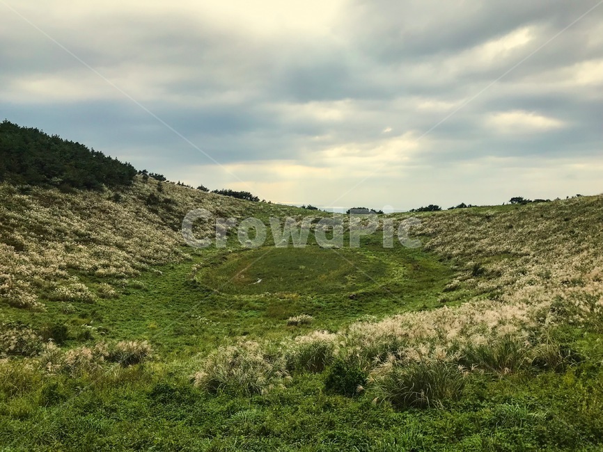 오름,산봉우리,정상,구름낀,풍경,야생,갈대,풀,자연,풍경,nature,landscape,한국자연풍경,한국자연경관,korea nature landscape,outdoors,옥외,hill,언덕