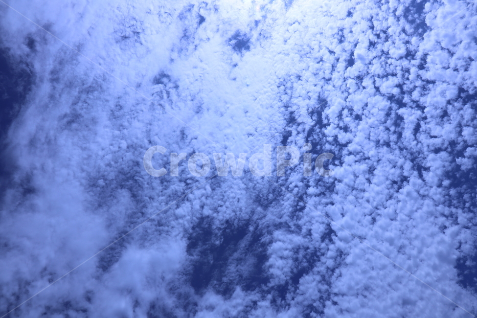 푸른,하늘,구름,bluesky,cloud