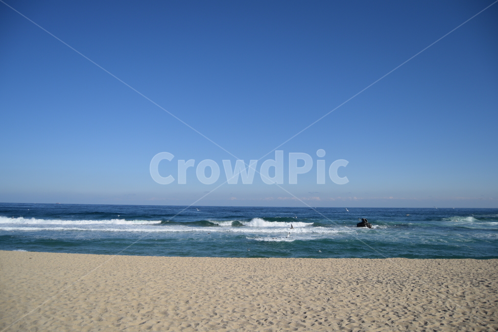 바다,파도,수평선,하늘,자연,해변,모래사장,해수욕장,겨울,겨울바다,sea,wave,horizon,sky,nature,beach,sandbeach,winter,동해,풍경,landscape,자연,풍경,nature,landscape,해변,바다,beach,sea,outdoors,옥외,ocean,대양,water,물,shoreline,해안선