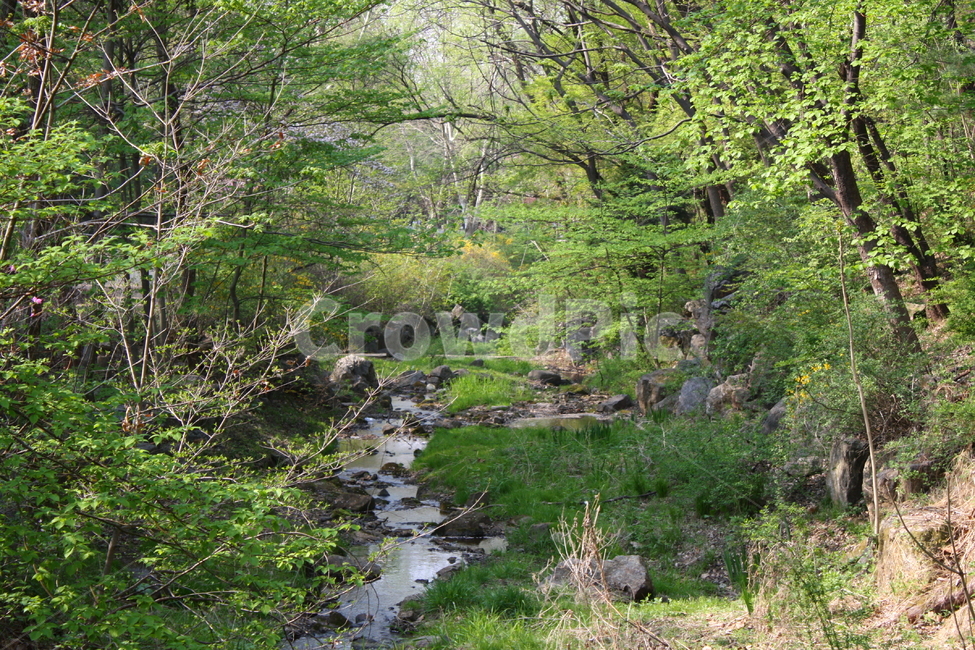 nature,자연,water,물,outdoors,옥외,자연,풍경,nature,landscape