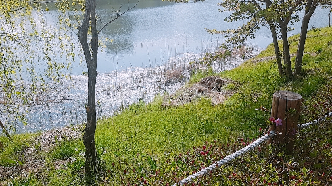 풍경,경치,커플,힐잉,맑음,자연,풍경,nature,landscape,water,물