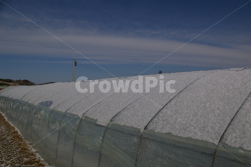 겨울,비닐하우스,온실,하늘,농촌,구름,겨울,계절,winter,season,산업,industry,industrial,농업,농사,agriculture,farming,farming industry