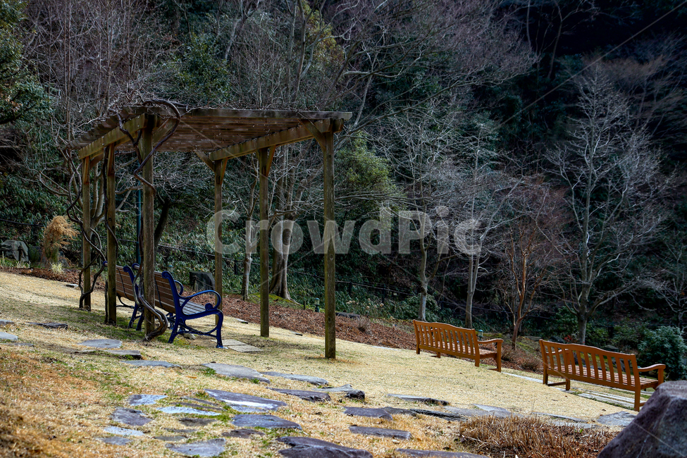 나무,의자,숲,배경,정원,자연,풍경,nature,landscape,porch,현관,patio,안마당