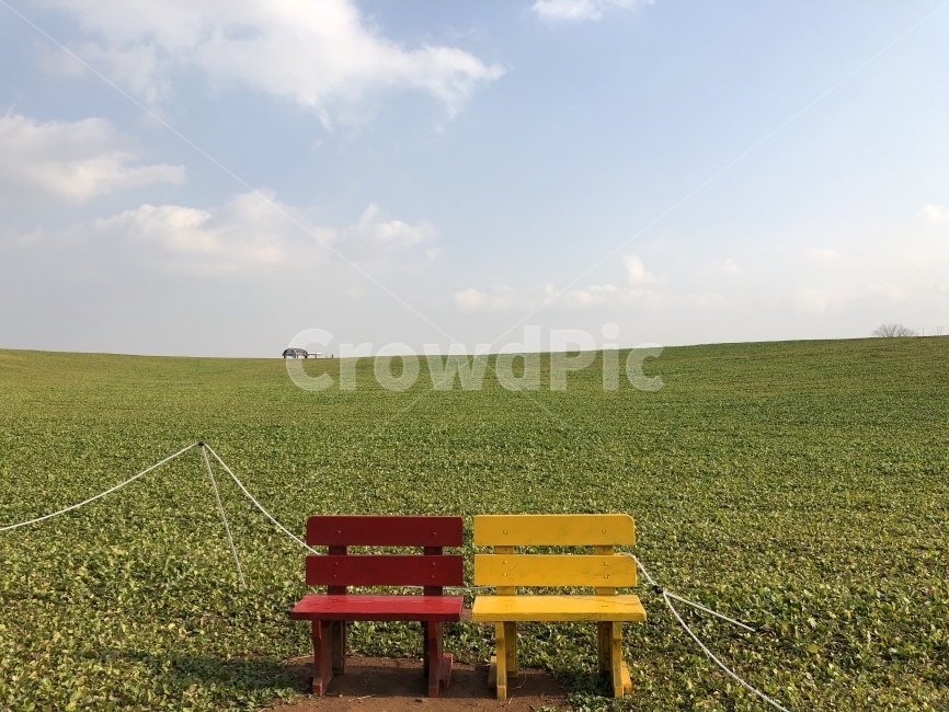 초원,들판,의자,여행,거울,자연,풍경,nature,landscape,bench,벤치