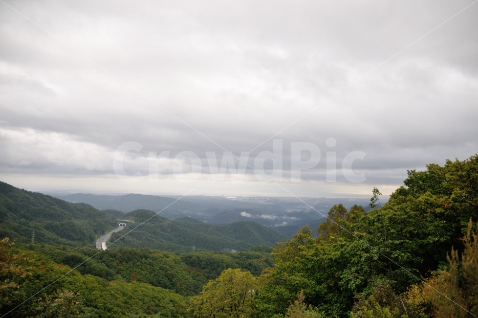 자연,풍경,길,구름,나무,자연,풍경,nature,landscape,한국자연풍경,한국자연경관,korea nature landscape,outdoors,옥외